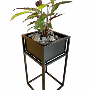 Modern Steel Planter